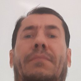 , , 46 