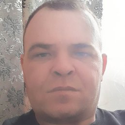 ����, ������, 37 ���