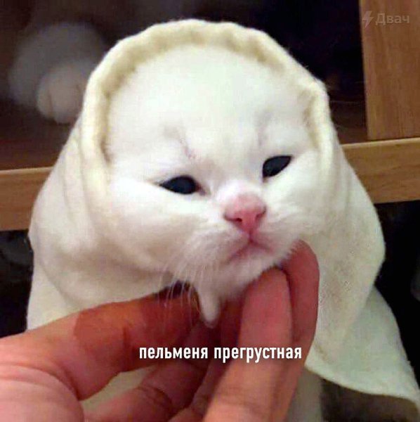    - 30  2023  23:01
