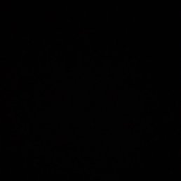 �����, �������, 44 ����