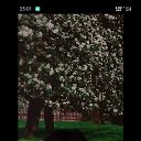 ���� Bonita, ������ - ��������� 22 ���� 2023 � ������ ���� ����������