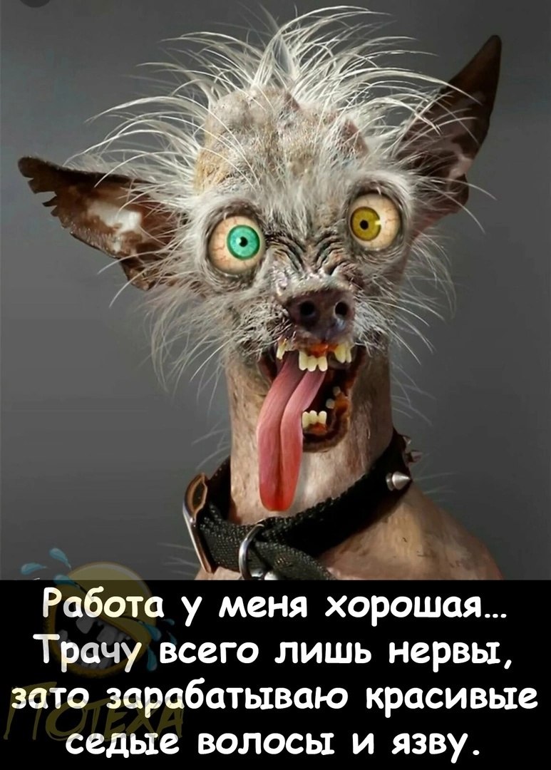   - 6  2023  14:45
