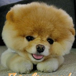 ������, ������, 54 ����