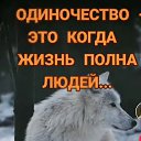  Nikolay,  , 58  -  11  2023    