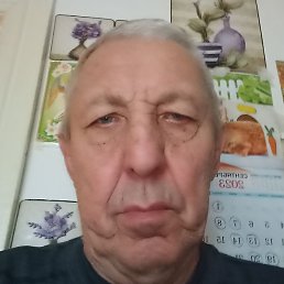 ������, �������, 71 ���