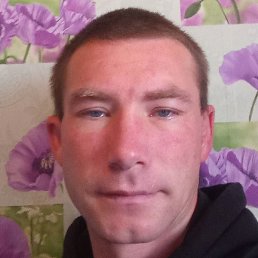 ����, ������, 41 ���