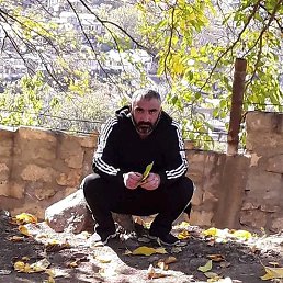 ����, ������, 41 ���