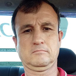 �����, ������, 49 ���