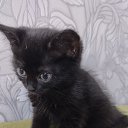 ���� ����, ������, 42 ���� - ��������� 26 ������� 2023 � ������ ���� ����������