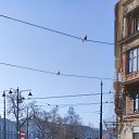 ���� �����, ���������, 51 ��� - ��������� 28 ������� 2023 � ������ ���� ����������