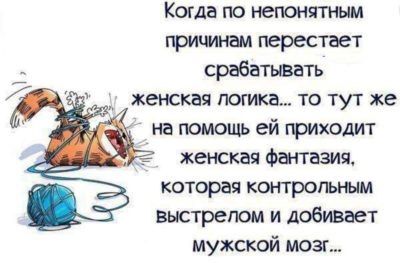 �������� ������� - 11 ��� 2023 � 02:57