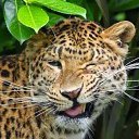  .., , 56  -  19  2023    