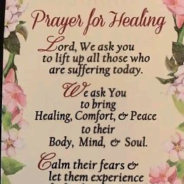 ���� Ava, �������, 87 ��� - ��������� 31 ������� 2023