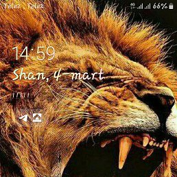 M, ������, 37 ���