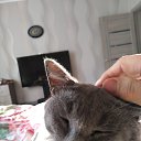 ���� ����, ������, 41 ��� - ��������� 24 �������� 2023 � ������ ���� ����������