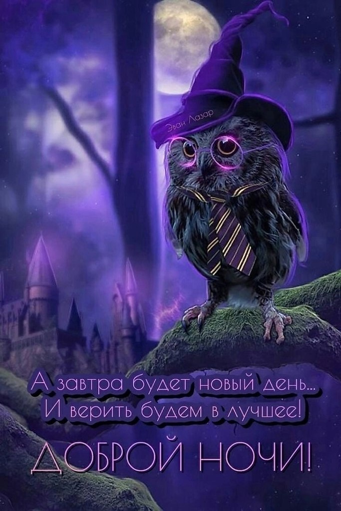   ,    . - 17  2023  21:46