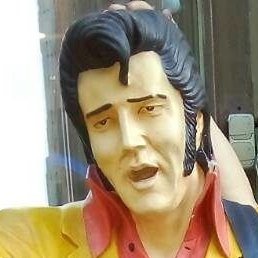 ������, �����, 49 ���