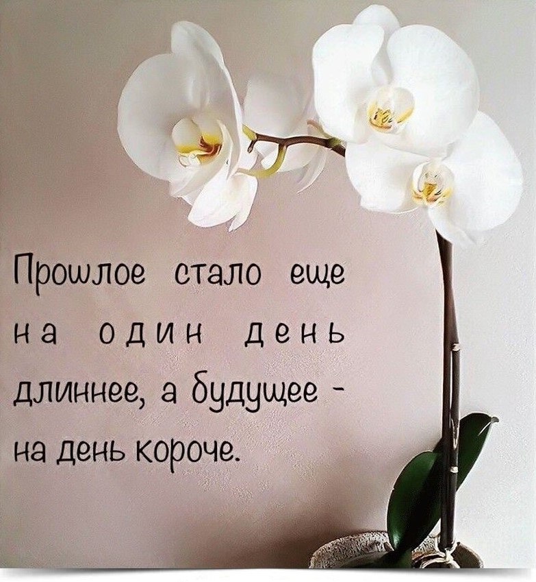 -- -- -- -- -- -- -- -- -- -- -- --