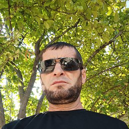 ����, ���������, 46 ���