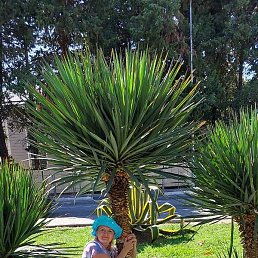 ����, ������, 55 ���