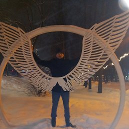 ������, ������, 41 ���