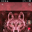 ���� �����, �����������, 47 ��� - ��������� 10 ���� 2023 � ������ ���� ����������