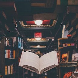 ����, ������, 33 ����