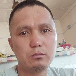 ����, �����������, 41 ���