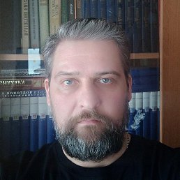 ���� ����, �����������, 48 ��� - ��������� 28 ������ 2023