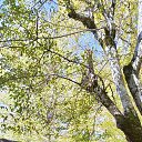 ���� ������, ���������, 55 ��� - ��������� 21 �������� 2023 � ������ ���� ����������