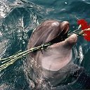 ���� �����, ������, 51 ��� - ��������� 1 ������ 2023 � ������ ���� ����������