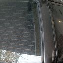 ���� ������ ��, ��������, 54 ���� - ��������� 12 ������� 2023 � ������ ���� ����������