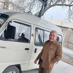 ��������, ���������, 37 ���