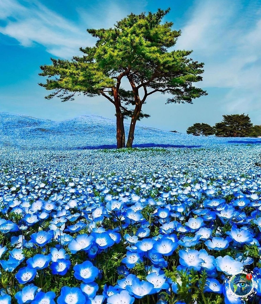  caee, aec, oe ooe a o, a  o e a.   ca, o o oe eoa  ...