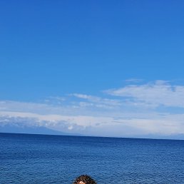 �������, ����-���, 56 ���