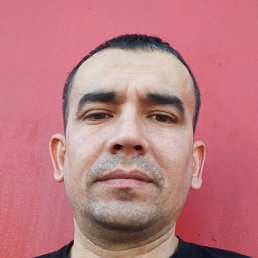 ����, ������, 37 ���