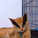 ���� �������, �������, 37 ��� - ��������� 5 �������� 2023