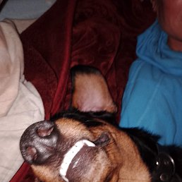 ���� ������, ����, 50 ��� - ��������� 9 ��� 2023