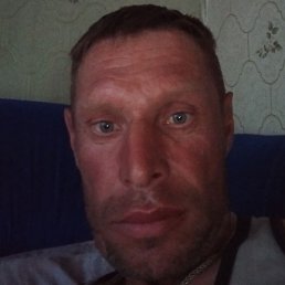 �������, ������, 46 ���