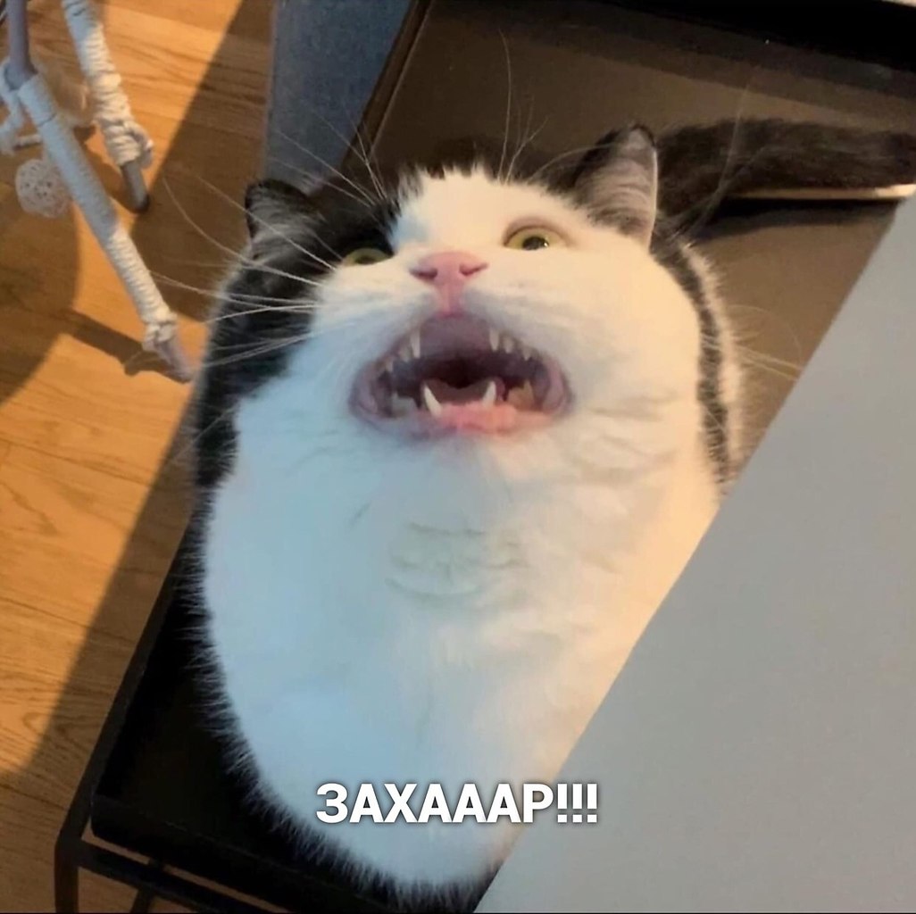    - 3