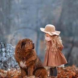 ����, ������, 47 ���