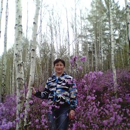 �������, ����, 56 ���