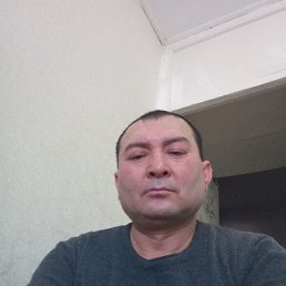 , 53 , 