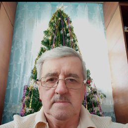 Дмитрий, 63, Бурея