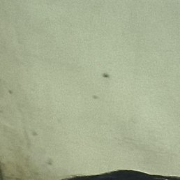 ����, ������, 36 ���