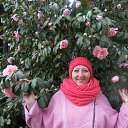 ���� Svetlana, ����������� - ��������� 1 ������ 2023 � ������ ���� ����������