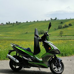 �������, ������, 39 ���