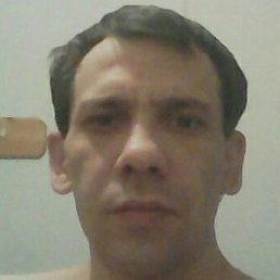 ���������, �����-���������, 41 ���