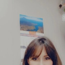 , 41 , 