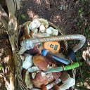 ���� ����, ���� - ��������� 23 ������� 2023 � ������ ���� ����������